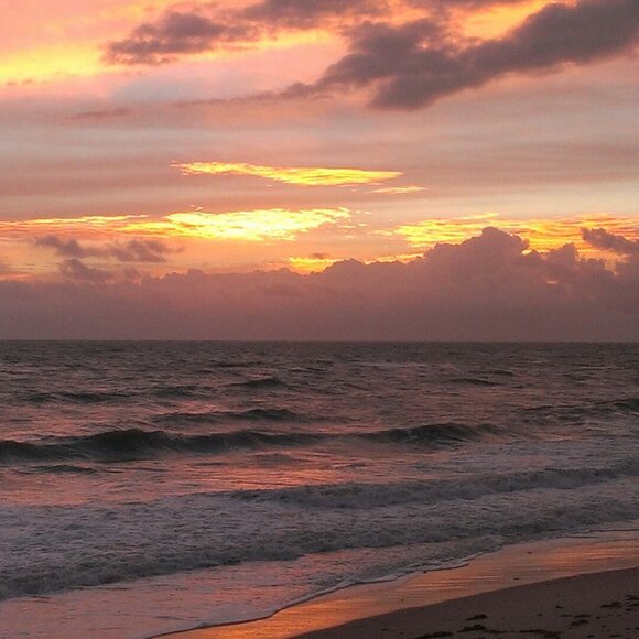 Meet your Posher, Jess - Picture 14 of 14